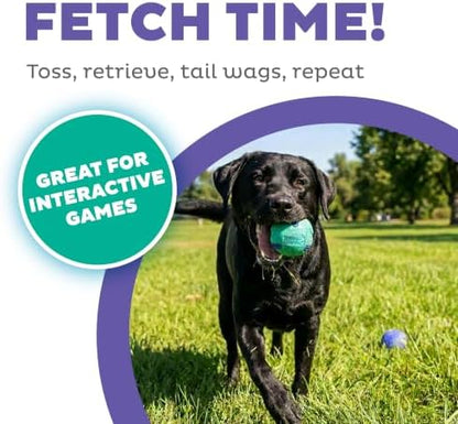 Outward Hound FlyFetch Rubber Fetch Ballz Dog Toy, Bounces & Floats, Launcher Compatible, 2.6", 2-Pack - Image 2