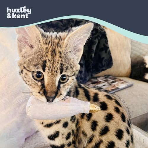 Huxley & Kent Plush Crinkle Catnip Cat Toy, Toto's Pawdka - Image 3