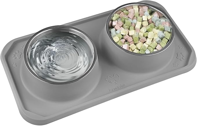 Cat Bowls for Food and Water, Upgrade Cat Food Bowls for Indoor Cats, Premium Removable Stainless Steel Double Bowls with Silicone Anti-Slip Pads, Water Bowl for Cats and Dog (Drak Grey)