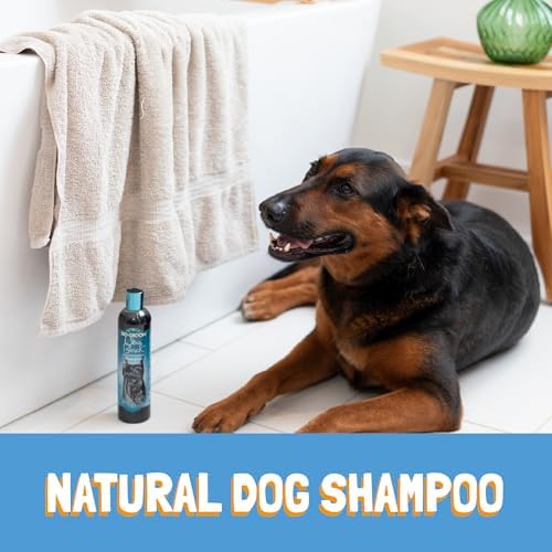 Bio-Groom Ultra-Black Dog Shampoo - Color Enhancing Pet Shampoo, Dog Bathing Supplies, Puppy Wash, Grooming Supplies, Cruelty-Free, Made in USA, Coat Brightener - 1 Gallon - Image 4