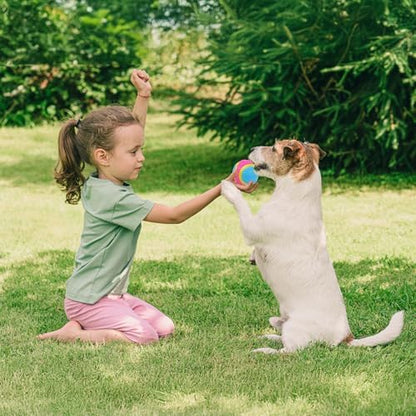 SPOT Sensory Ball for Soft Chewers - Stimulates All 5 Senses, Bell & Squeaker Sounds, Raised Nubs Clean Teeth, High Contrast Fetch Toy, Beef Scented, Durable TPR Rubber Ball, 2.5-inch - Image 4