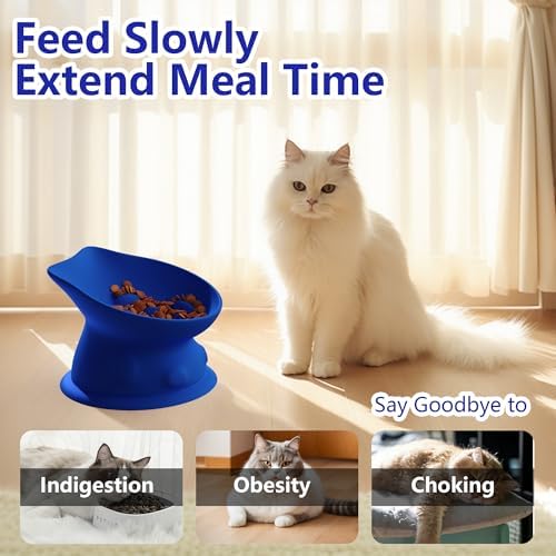 Slow Feed Cat Bowl, Elevated Cat Food Dish with Tilted Design, Dual-Use for Dry and Wet Food, Anti-Vomit, Anti-Choking, Easy to Clean - Image 6