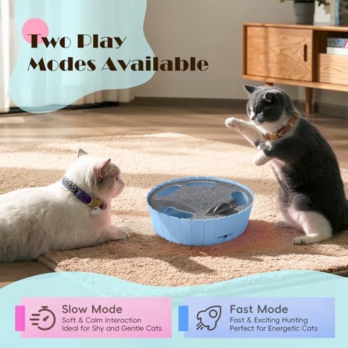 Pawaboo Interactive Cat Toy with Running Mouse, Automatic Track Kitten Toy - Image 4
