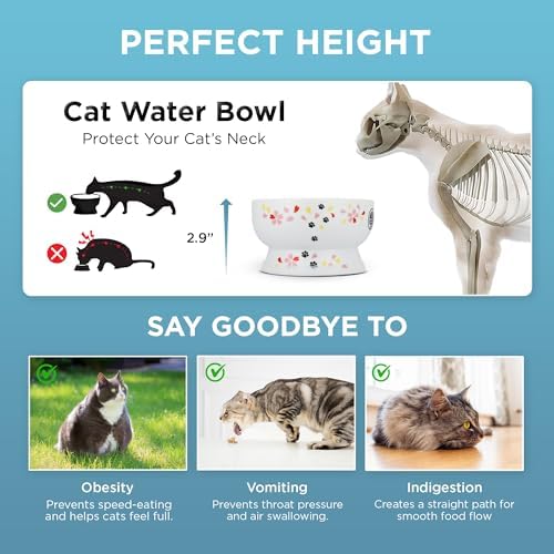 Raised Cat Water Bowl (Sakura Limited Edition) - Image 5