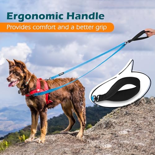 PetBonus Two Point Control Dog Leash, No Tangle Training Walking Leashes - Image 5