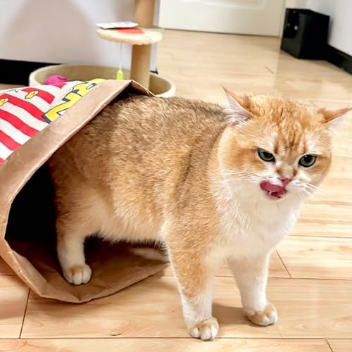 Large Crinkle Cat Sack 25.6 x 19.7 Inch Foldable Kraft Paper Cat Play Bag, Interactive Cat Hideaway Tunnel Toy, Multifunctional Cat House Decor for Kittens Small Pets - Image 3