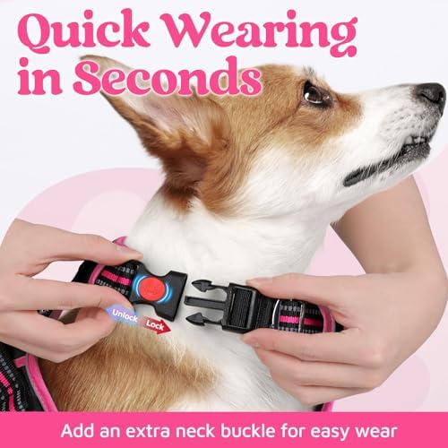 rabbitgoo Dog Harness for Large, No Pull 3 Buckles Easy On & Off - Image 2