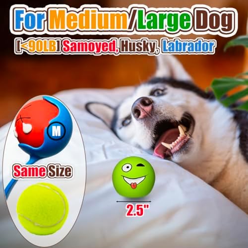 HOLYSTEED Latex Squeaky Dog Balls for Medium Breeds, 2.5" Round Squeak Toys - Image 4