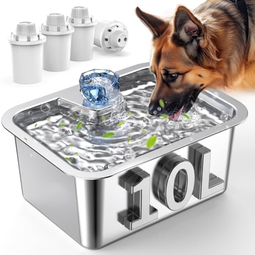 Lesotc Dog Water Fountain, 10L Stainless Steel Large Pet Fountain by lesotcbrand