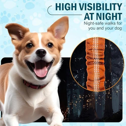 Hands Free Dog Leash with Waist Belt and Bungee for Walking - Image 6
