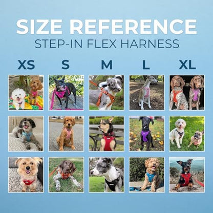 Best Pet Supplies Voyager Adjustable Step-in Flex Breathable Mesh Dog Harness for Small Medium Large Dogs Leash Set (Red), L - Image 6
