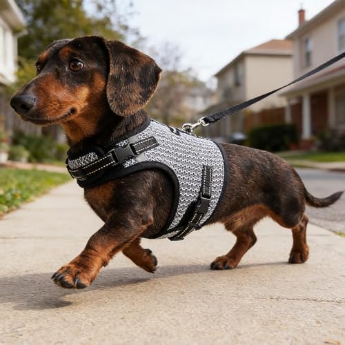 Mini Dachshund Harness – No Armpit Rub, Escape Proof, Reflective, No Pull Vest-Style Dachshunds Harness,Breathable Mesh Dog Harness (Silver-White, M: Chest 42-52cm (16.5"-20.5")) - Image 6