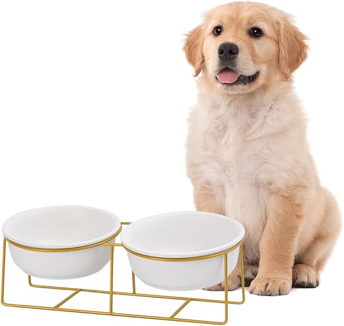 Large Small Double Elevated Dog Bowls - Raised Dog Bowl - Ceramic Dog Cat Bowl Set for Food and Water - Pet Comfort Feeding Bowls with Gold Iron Stand