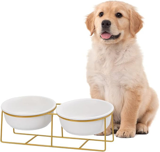 Large Small Double Elevated Dog Bowls - Raised Dog Bowl - Ceramic Dog Cat Bowl Set for Food and Water - Pet Comfort Feeding Bowls with Gold Iron Stand