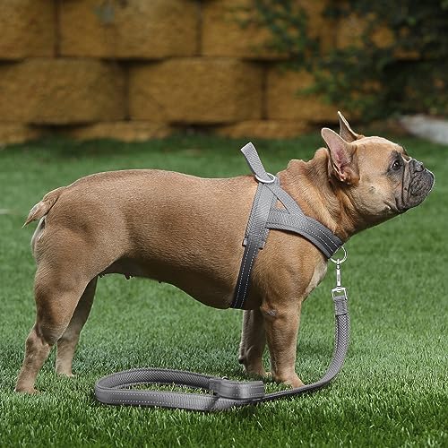 Plutus Pet No Pull Dog Harness for Large Dogs, Breathable Mesh Padded - Image 5