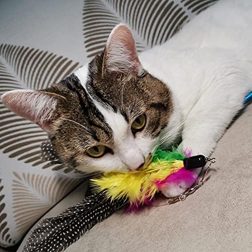 Cat Feather Toys Refills, 10 Pieces Worms Feathers Refills, Cat Wand Replacement Feathers Toy for Indoor Cats - Image 4