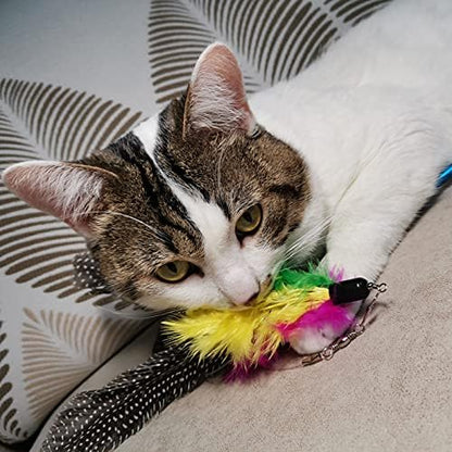 Cat Feather Toys Refills, 10 Pieces Worms Feathers Refills, Cat Wand Replacement Feathers Toy for Indoor Cats - Image 4