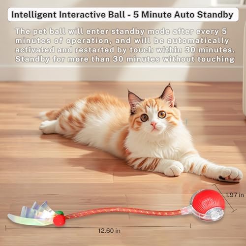 Speedy Tail 3.0 Interactive Toy Ball, 2 Tails for Cats & Dogs - Image 3