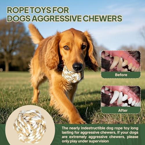 TwoEar Dog Rope Toy for Large Dogs - 4 Pack Natural Cotton Dog Chew Toys - Image 2