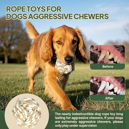 TwoEar Dog Rope Toy for Large Dogs - 4 Pack Natural Cotton Dog Chew Toys - Image 2