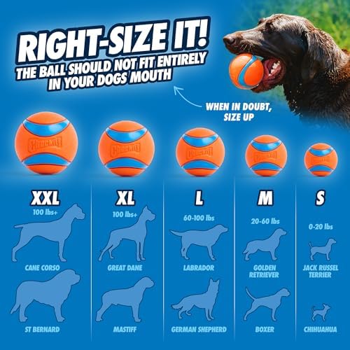 Chuckit! Ultra Ball Dog Toy, Size XXL, 4-in Diameter, for Dogs 100+lbs - Image 4