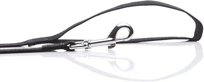 Nylon Dog Leash 8 Feet Long, Walking Training Dog Leashes for Medium Large Dogs