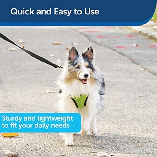 PetSafe Nylon Dog Leash - Strong, Durable, Traditional Style Leash with Easy to Use Bolt Snap - 3/4 in. x 6 ft., Black - Image 3