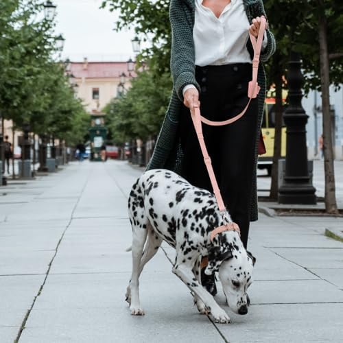 Wisedog Two Handles Dog Leash, Gossamer Pink, S|0.8" x 4.2 ft-5 ft - Image 6