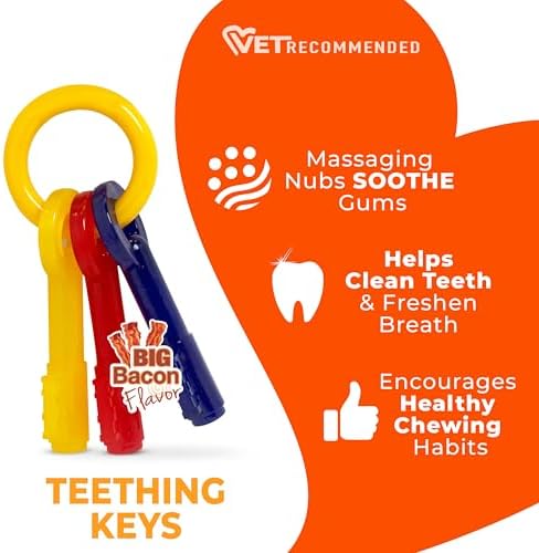 Nylabone Puppy Chew Teething Keys Dog Chew Toy, Bacon Flavor, Medium - Image 5