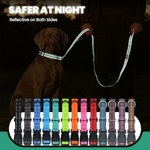 VIVAGLORY Double Handle Dog Leash Twingrip, 5ft x 1in, M2, Turquoise - Image 5