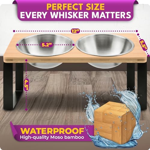 Raised cat Bowls for Indoor Cats by WinTruffles, Elevated cat Bowls, Tilted and Elevated Anti Vomiting Cat Dishes for Food and Water, Set of 2 Stainless Steel Bowl - Image 6