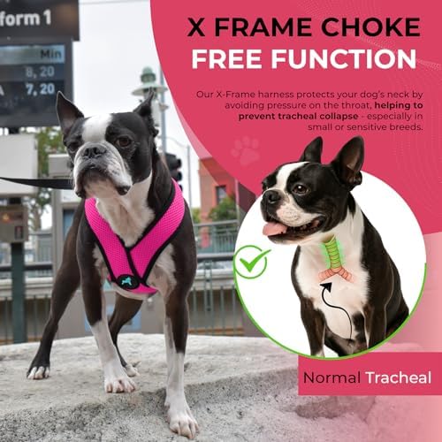 Gooby Comfort X Head-in Dog Harness, Choke-Free, Flamingo Pink, X-Large - Image 5
