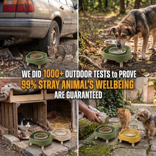 2 Pack Ant Not Cross Elevated Cat Bowls - 4 Food Grade Glass Bowls & 2 Lids - Cat Food and Water Feeding Bowl for Cats&Kittens&Puppy Indoor & Outdoor,Whisker Fatigue Dish,Avocado Green - Image 3
