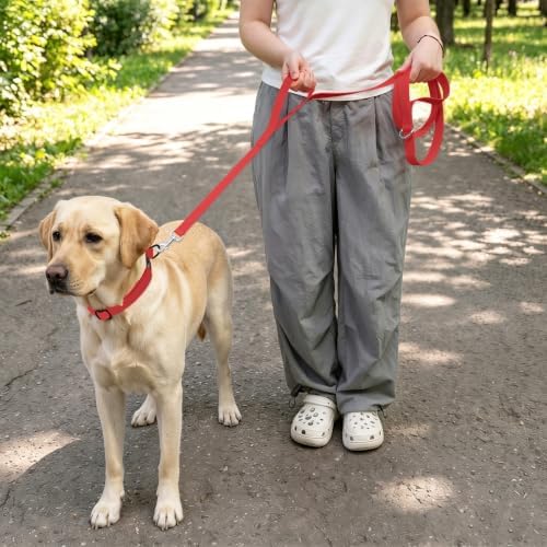 Waterproof Dog Leash with Double Handle, 6 FT Durable Odor-Proof Dog Leashes with Strong Aviation Aluminum Hooks Fits Small Medium or Large Dogs - Image 5