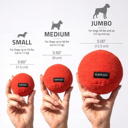 Playology Durable Plush Ball Toy - Crinkle Ball - Jumbo, Beef Scent - Image 5