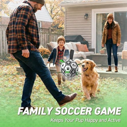 QDAN Dog Toys for Small Medium Puppy, Soccer Ball for Dogs with Straps - Image 3