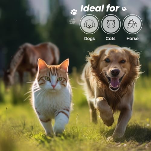Best Shot ONE SHOT Deodorizing Spray, Versatile Pet Odor Eliminator Spray, Alcohol-free and Fabric-safe, Deodorizing Spray for Horses, Dogs, and Cats, Herbal Mint Fragrance, 32 Oz. - Image 6