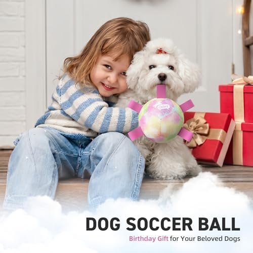 QDAN Dog Soccer Ball with Straps, Small Puppy Durable Dog Toys, 5 Inch - Image 2