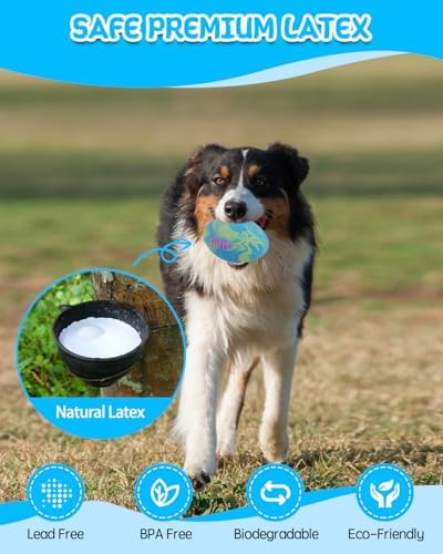 SCHITEC Dog Squeaky Ball Toys, Interactive Pet Balls for Fetch Play, Latex Rubber Football Toy for Medium Large Breed Dogs - Image 4