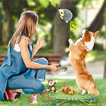 LEGEND SANDY Puppy Toys, Squeaky Dog Toys for Small Dogs, 12 Pack Puppy Chew Toys for Teething, Dog Rope Toy and Cute Stuffed Animals Value Bundle - Image 6