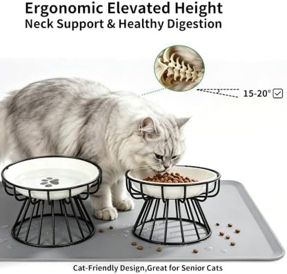 Elevated Ceramic Cat Bowl Set of 2 with Silicone Mat - Image 4
