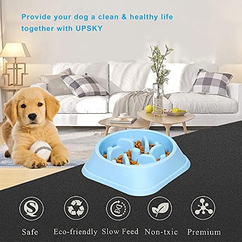 UPSKY Slow Feeder Small Dog Bowl - Anti-Slip Puzzle Bowl Feeder, Interactive Bloat Stop, Anti-Choking - Image 6