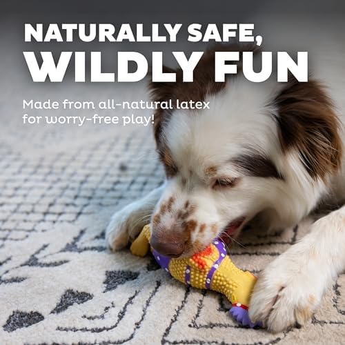 Outward Hound by Charming Pet Squawkers Henrietta Latex Squeaky Rubber Chicken Dog Toy, Funny Interactive Holiday Toy for Dogs, Small Size (Pack of 2) - Image 4