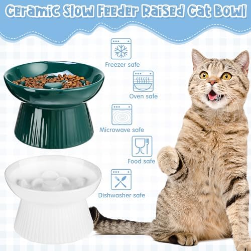 Tioncy 2 Pcs Ceramic Elevated Slow Feeder Cat Bowl, Dark Green, White - Image 5