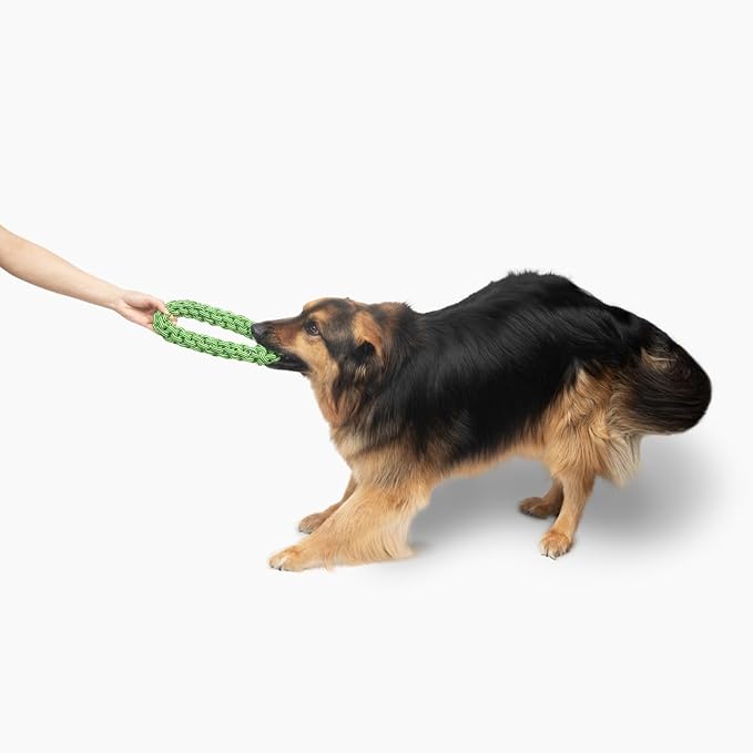 Jolly Pets TIK-Tak-Tugzz Small/Medium O Rope Dog Toy