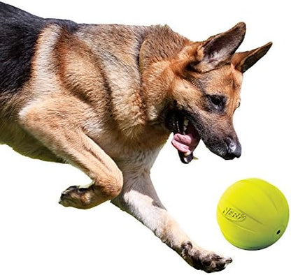 Nerf Dog Rubber Ball Dog Toy with Squeaker, Lightweight, Durable and Water Resistant, 4 Inch Diameter for Medium/Large Breeds, Single Unit, Green - Image 6
