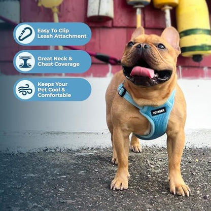 Voyager Step-in Flex Adjustable Dog Harness - Baby Blue, Medium - Image 5