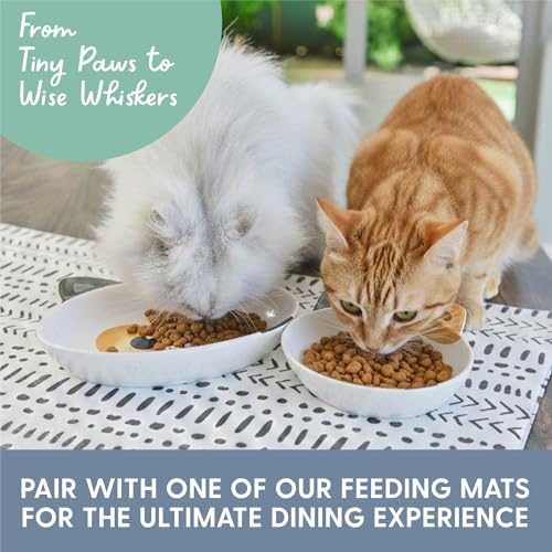 The Cat Ladies Ceramic Cat Bowls - Whisker Friendly Food Bowl - Cute Pet, Kitten Plates - Dishes for Indoor Cats - Dish for Wet Food & Water - Platos para Gatos - Calico, Small - Image 6