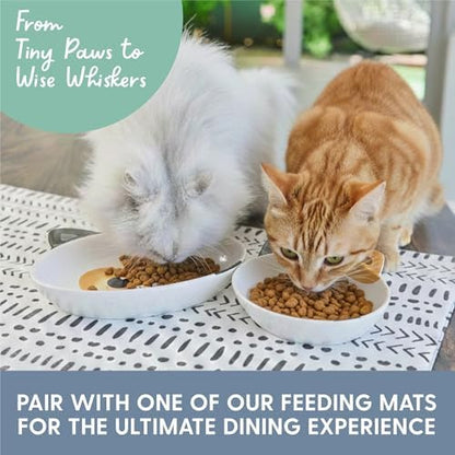 The Cat Ladies Ceramic Cat Bowls - Whisker Friendly Food Bowl - Cute Pet, Kitten Plates - Dishes for Indoor Cats - Dish for Wet Food & Water - Platos para Gatos - Calico, Small - Image 6