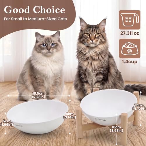 15° Slanted Rim Ceramic Cat Bowl, Anti-Spill for Small Cats,White - Image 2